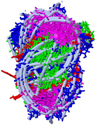 Image NMR Structure - all models