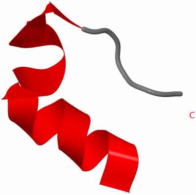 Image NMR Structure - model 1