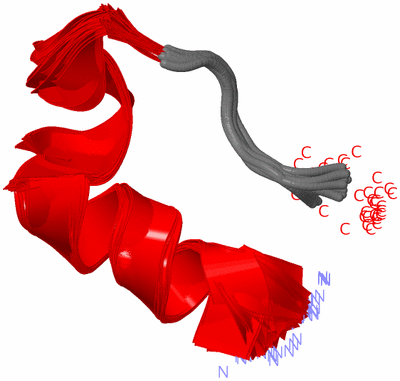 Image NMR Structure - all models