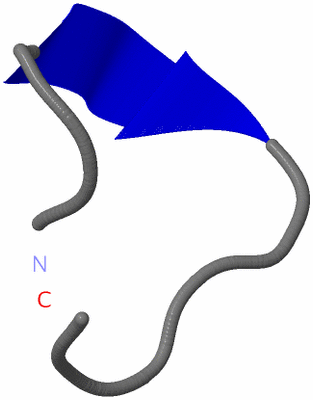 Image NMR Structure - model 1