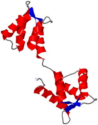 Image NMR Structure - model 1