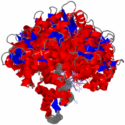 Image NMR Structure - all models