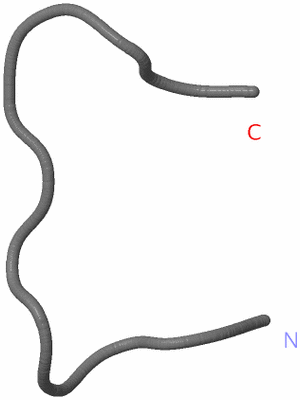 Image NMR Structure - model 1