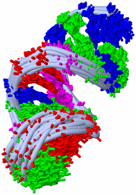 Image NMR Structure - all models