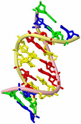 Image Biological Unit 2