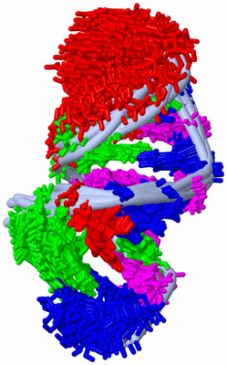 Image NMR Structure - all models