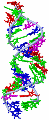 Image NMR Structure - model 1