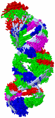 Image NMR Structure - all models