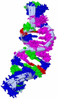 Image NMR Structure - all models