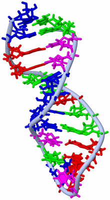 Image NMR Structure - model 1