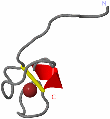 Image NMR Structure - model 1