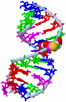 Image NMR Structure - model 1