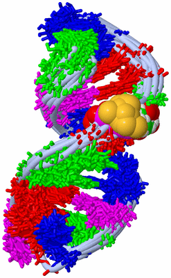 Image NMR Structure - all models