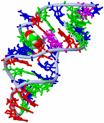 Image NMR Structure - model 1