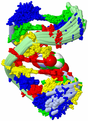 Image NMR Structure - all models