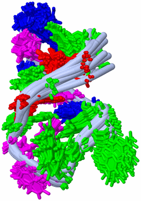 Image NMR Structure - all models