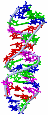 Image NMR Structure - model 1