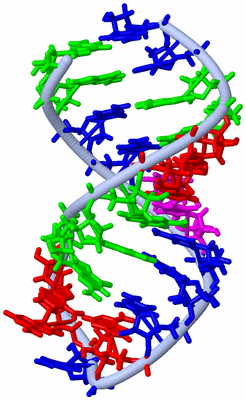 Image NMR Structure - model 1