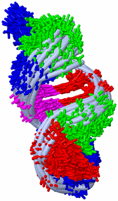 Image NMR Structure - all models