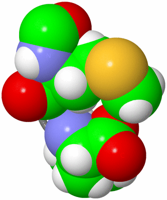 Image Asymmetric Unit