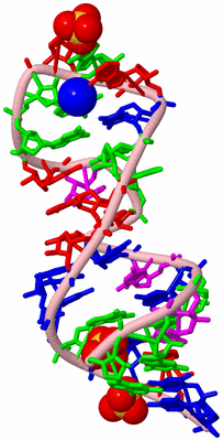 Image Biological Unit 3