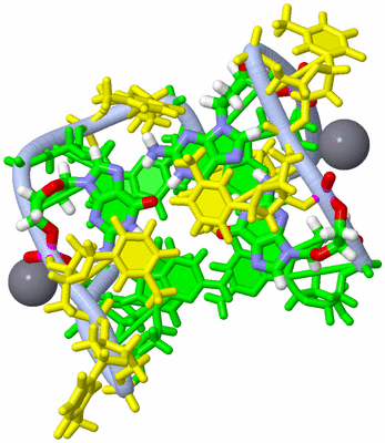 Image NMR Structure - model 1, sites