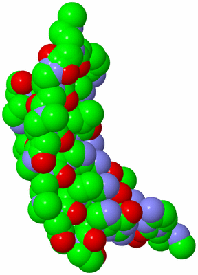 Image Biological Unit 3