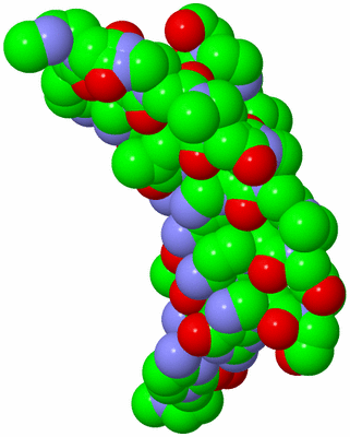 Image Biological Unit 4