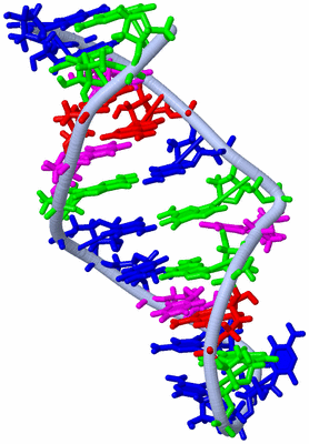 Image NMR Structure - model 1