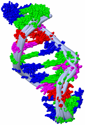 Image NMR Structure - all models