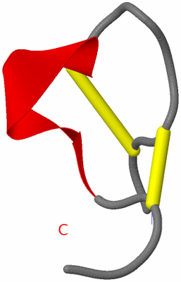 Image NMR Structure - model 1