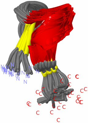 Image NMR Structure - all models