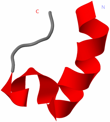 Image NMR Structure - model 1