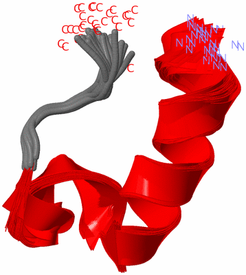 Image NMR Structure - all models