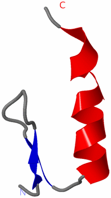 Image NMR Structure - model 1