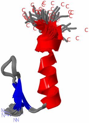 Image NMR Structure - all models