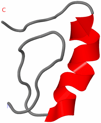 Image NMR Structure - model 1