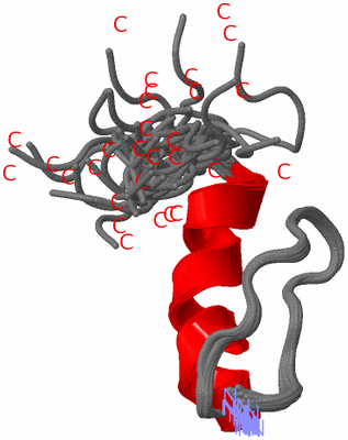 Image NMR Structure - all models