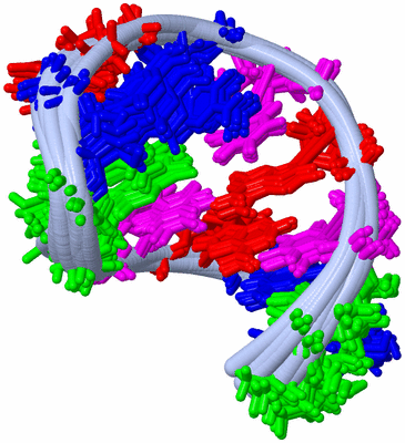 Image NMR Structure - all models