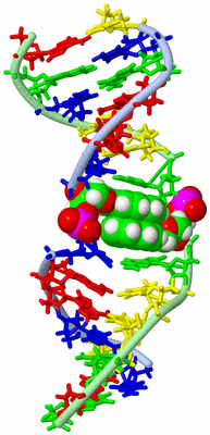 Image NMR Structure - model 1