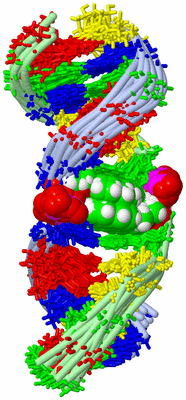 Image NMR Structure - all models