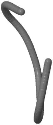 Image NMR Structure - model 1