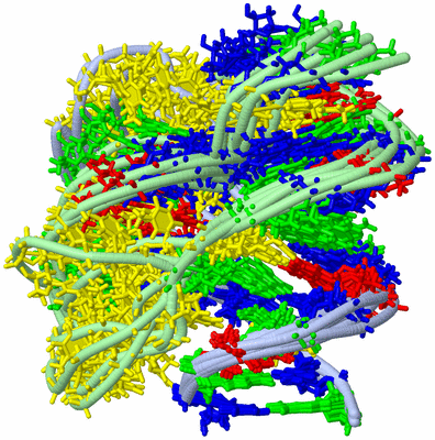 Image NMR Structure - all models