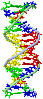 Image NMR Structure - model 1