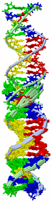 Image NMR Structure - all models