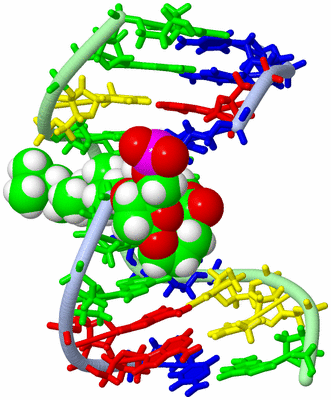 Image NMR Structure - model 1