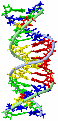 Image NMR Structure - model 1