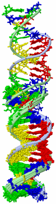 Image NMR Structure - all models