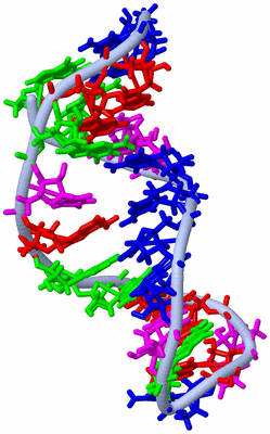 Image NMR Structure - model 1