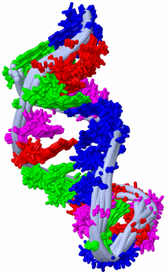 Image NMR Structure - all models